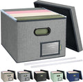 BALEINE File Organizer Box with Lid, Collapsible File Folder Organizer with Plastic Slide, Filing Box for Office Home Document Organizer Storage (Gray, 1PK)