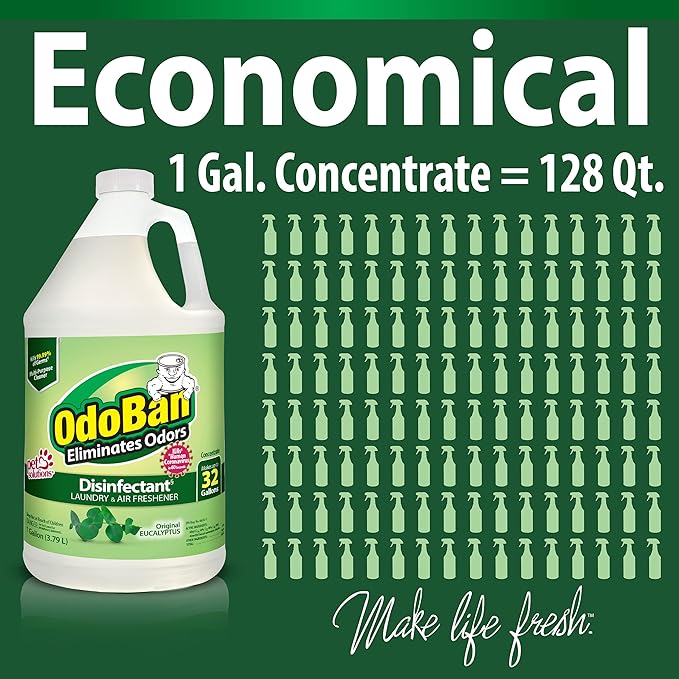 OdoBan Disinfectant Concentrate and Odor Eliminator, 2 Gallons, Original Eucalyptus Scent