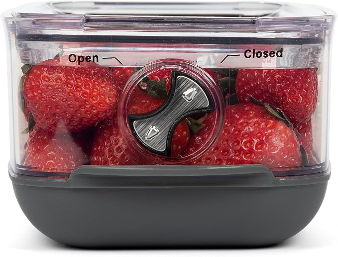 Progressive ProKeeper Stackable Produce ProKeeper Storage Container with Stay-Fresh Vent System (PKS-912 (1.2 qt Berry Keeper))