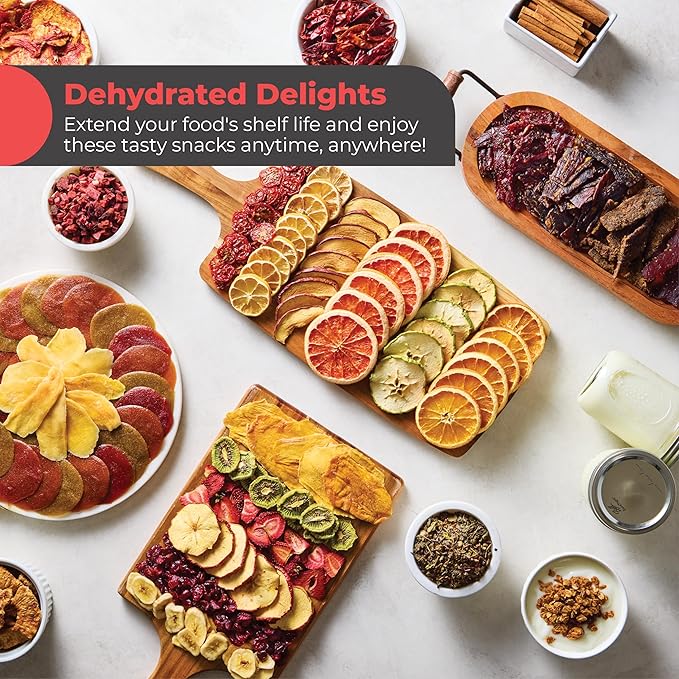 Magic Mill Premium Food Dehydrator Machine (10 Extra-Large Stainless Steel Trays) 700W Dryer for Beef Jerky, Fruits, Vegetables, Dog Treats, 48 Hour Digital Timer - 95°-167° Temperature Control