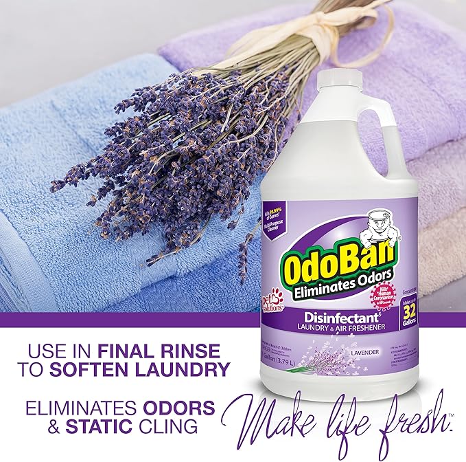 OdoBan Ready-to-Use Disinfectant and Odor Eliminator, Made in the USA, Lavender Scent, Set of 3, 2 Spray Bottles, 32 Ounces Each and 1 Gallon Concentrate