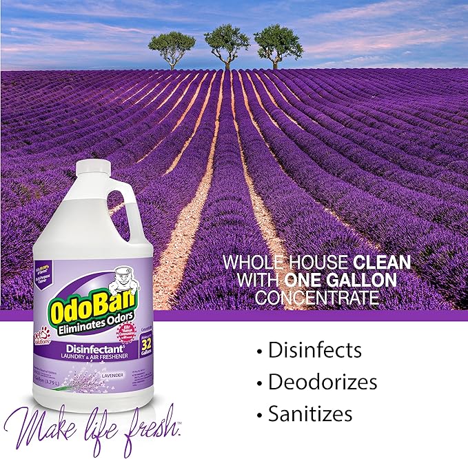 OdoBan Ready-to-Use Disinfectant and Odor Eliminator, Made in the USA, Lavender Scent, Set of 2, 32 oz Spray and 1 Gallon Concentrate